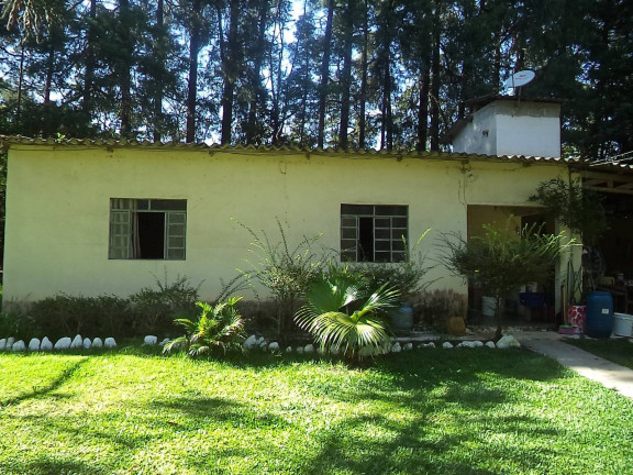 Imagem Chácara com 7 Quartos à Venda, 25.000 m² em Roseira - Piedade