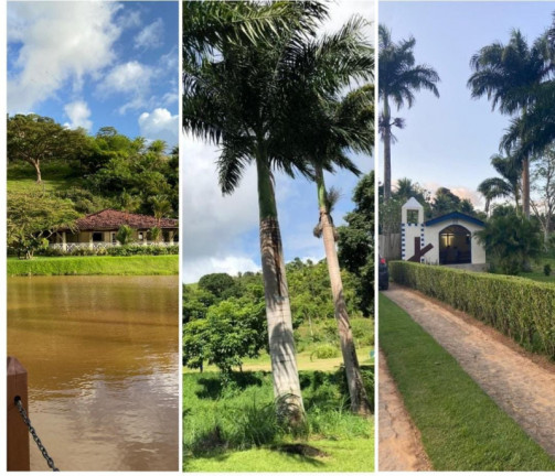 Imagem Chácara com 4 Quartos à Venda, 60.000 m²