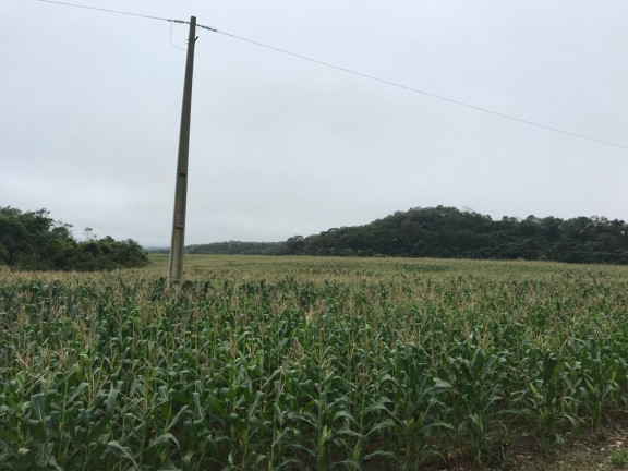 Imagem Fazenda à Venda, 750 m² em Rural - Bela Vista Imagem Fazenda à Venda, 750 m² em Rural - Bela Vista