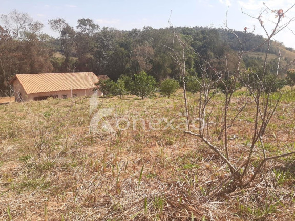 Imagem Chácara com 2 Quartos à Venda, 150 m² em Centro - Paraibuna Imagem Chácara com 2 Quartos à Venda, 150 m² em Centro - Paraibuna