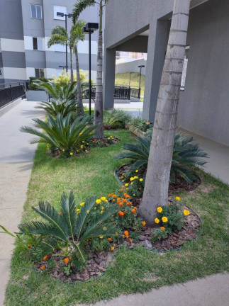Imagem Apartamento com 3 Quartos à Venda, 65 m² em Residencial Pacaembú - Itupeva Imagem Apartamento com 3 Quartos à Venda, 65 m² em Residencial Pacaembú - Itupeva
