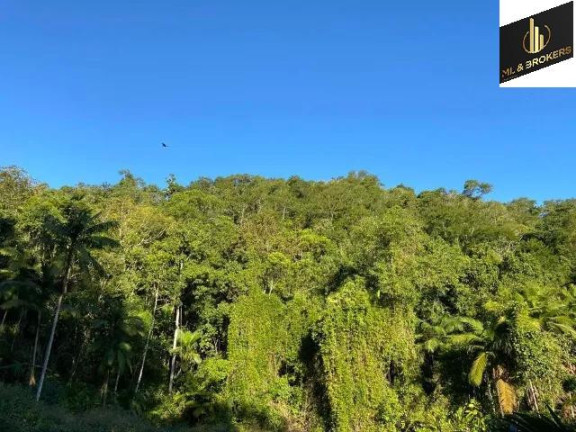 Imagem Imóvel com 2 Quartos à Venda, 177.000 m² em Zona Rural - Massaranduba