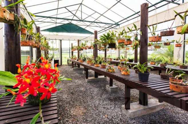 Imagem Terreno à Venda, 566 m² em Centro - Camboriú