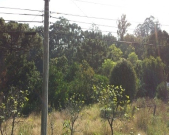 Imagem Terreno à Venda, 496 m² em Linha Brasil - Nova Petrópolis Imagem Terreno à Venda, 496 m² em Linha Brasil - Nova Petrópolis
