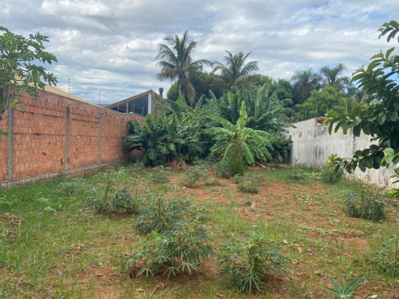 Imagem Terreno à Venda, 10 m² em Vila Palmira - Campo Grande Imagem Terreno à Venda, 10 m² em Vila Palmira - Campo Grande