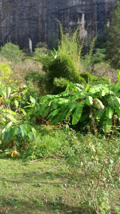Imagem Casa com 4 Quartos à Venda, 15 m² em Amparo - Nova Friburgo
