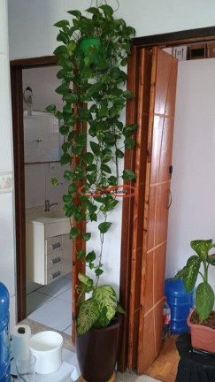 Imagem Apartamento com 2 Quartos à Venda, 44 m² em Conjunto Habitacional Padre Manoel Da Nóbrega - São Paulo Imagem Apartamento com 2 Quartos à Venda, 44 m² em Conjunto Habitacional Padre Manoel Da Nóbrega - São Paulo