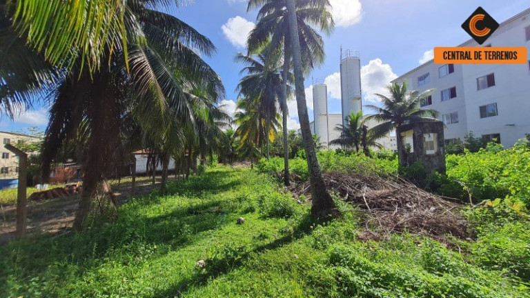 Imagem Terreno à Venda, 4.300 m² em Abrantes - Camaçari Imagem Terreno à Venda, 4.300 m² em Abrantes - Camaçari