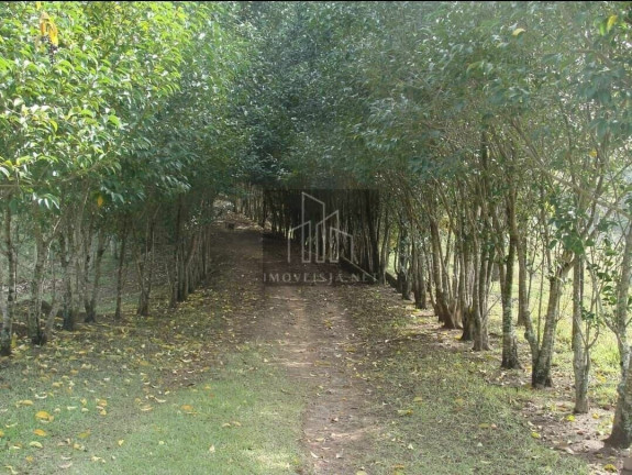 Imagem Imóvel com 5 Quartos à Venda, 24.000 m² em Centro - Jumirim Imagem Imóvel com 5 Quartos à Venda, 24.000 m² em Centro - Jumirim