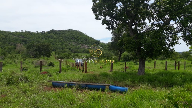 Imagem Imóvel com 3 Quartos à Venda, em Zona Rural - Crixás Imagem Imóvel com 3 Quartos à Venda, em Zona Rural - Crixás