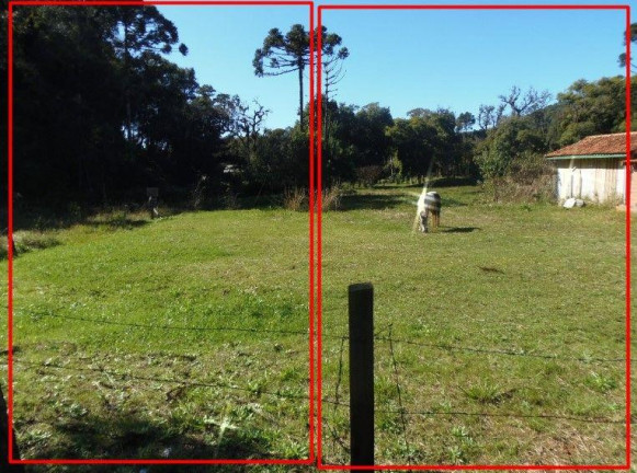 Imagem Terreno à Venda, 515 m² em Bateias - Campo Largo Imagem Terreno à Venda, 515 m² em Bateias - Campo Largo