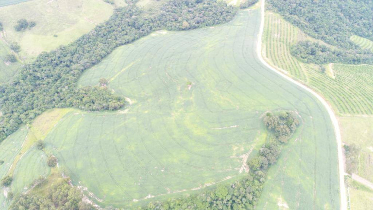 Imagem Fazenda à Venda, em Centro - Itaberá Imagem Fazenda à Venda, em Centro - Itaberá