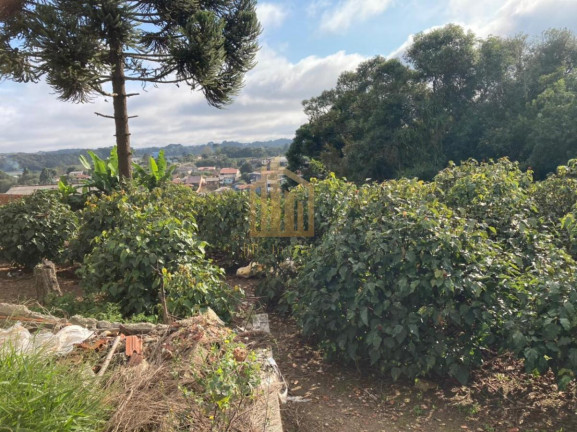 Imagem Terreno à Venda, 2.080 m² em Vila Santa Terezinha - Loteamento Vila Santo Onofre - Campo Largo Imagem Terreno à Venda, 2.080 m² em Vila Santa Terezinha - Loteamento Vila Santo Onofre - Campo Largo