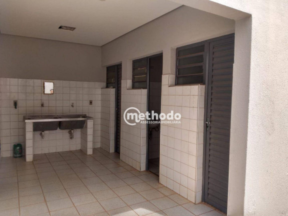 Imagem Sala Comercial para Alugar, 500 m² em Jardim Chapadão - Campinas Imagem Sala Comercial para Alugar, 500 m² em Jardim Chapadão - Campinas