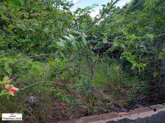 Imagem Terreno à Venda,  em Bairro Seminário - Campo Grande