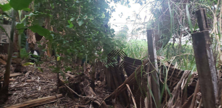 Imagem Casa com 2 Quartos à Venda, 200 m² em Jardim Faculdade - Sorocaba