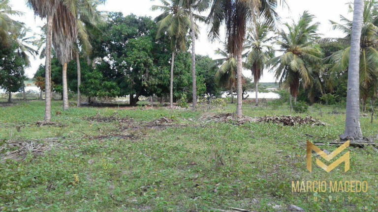 Imagem Terreno à Venda, 247.664 m² em Zona Rural - Beberibe Imagem Terreno à Venda, 247.664 m² em Zona Rural - Beberibe