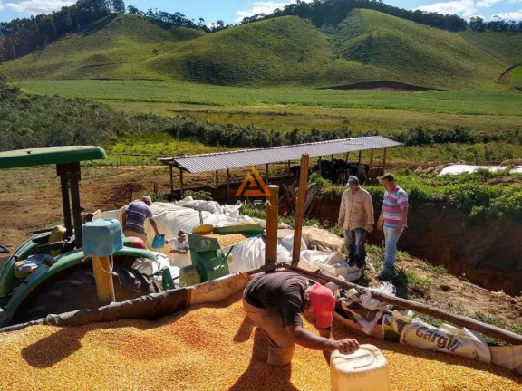 Imagem Fazenda à Venda, 30 m² em Correia De Almeida - Barbacena Imagem Fazenda à Venda, 30 m² em Correia De Almeida - Barbacena