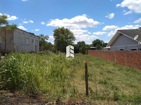 Imagem Terreno à Venda, 500 m² em Pinheiro Machado - Santa Maria Imagem Terreno à Venda, 500 m² em Pinheiro Machado - Santa Maria