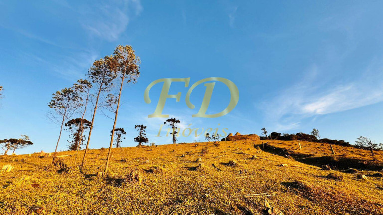 Imagem Terreno à Venda, 30 m² em Piracaia Imagem Terreno à Venda, 30 m² em Piracaia