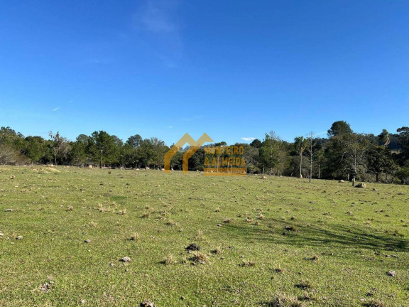 Imagem Terreno à Venda, em Porto Velho - Itapetininga Imagem Terreno à Venda, em Porto Velho - Itapetininga