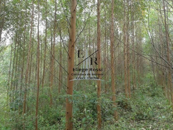 Imagem Chácara à Venda, 80 m² em Itatiba Imagem Chácara à Venda, 80 m² em Itatiba
