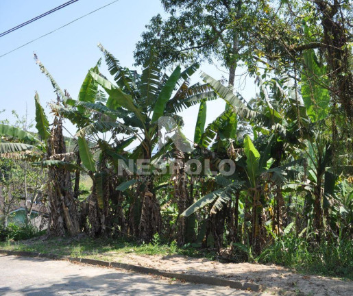 Terreno à Venda,  em Fidélis - Blumenau