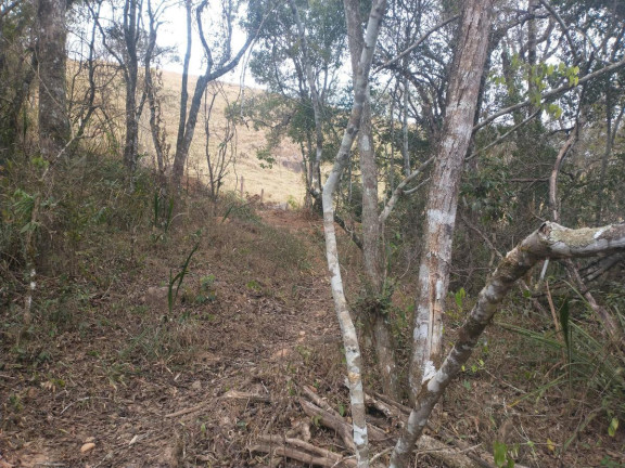 Imagem Chácara à Venda, 20.000 m² em Rio Pardo - Caldas Imagem Chácara à Venda, 20.000 m² em Rio Pardo - Caldas
