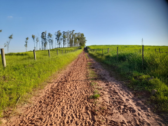 Imagem Chácara à Venda, 70.000 m² em Mariluz - Mariluz Imagem Chácara à Venda, 70.000 m² em Mariluz - Mariluz