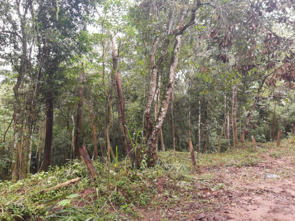 Imagem Terreno à Venda, 2 m² em Maracanã - Jarinu Imagem Terreno à Venda, 2 m² em Maracanã - Jarinu