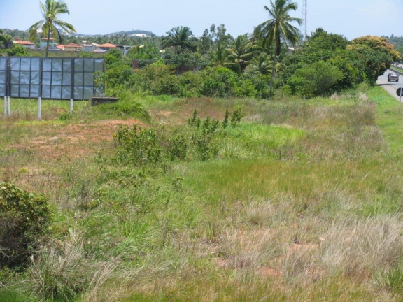 Imagem Terreno à Venda, 8.000 m² em Arembepe - Camaçari Imagem Terreno à Venda, 8.000 m² em Arembepe - Camaçari