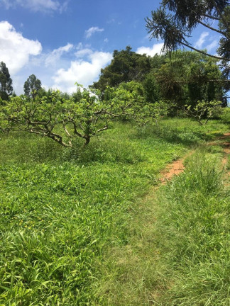 Imagem Imóvel à Venda, em Zona Rural - Turvolândia Imagem Imóvel à Venda, em Zona Rural - Turvolândia