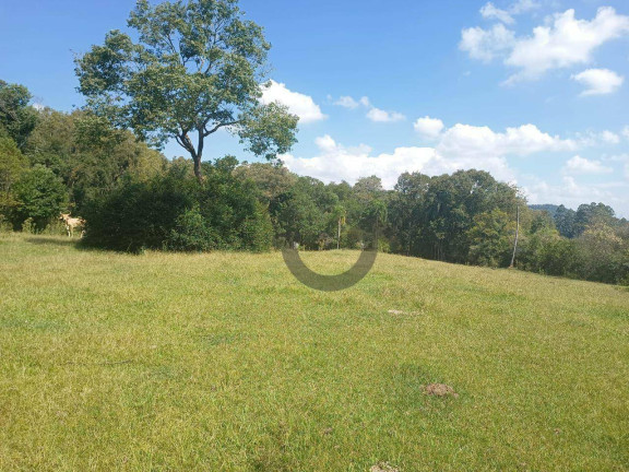 Imagem Chácara à Venda, 110 m² em Linha Travessa - Santa Cruz Do Sul
