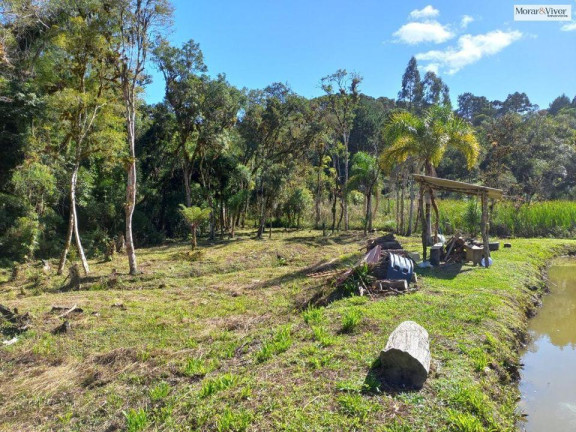 Imagem Imóvel à Venda, 8.000 m² em Zona Rural - Quatro Barras Imagem Imóvel à Venda, 8.000 m² em Zona Rural - Quatro Barras