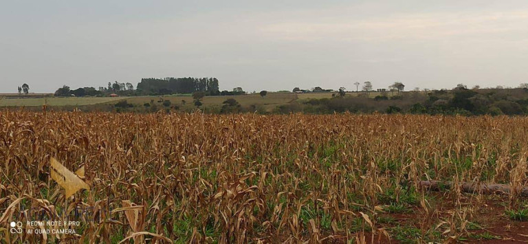 Imagem Chácara com 3 Quartos à Venda, 94.000 m² em Zona Rural - Sidrolândia Imagem Chácara com 3 Quartos à Venda, 94.000 m² em Zona Rural - Sidrolândia