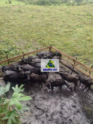 Imagem Fazenda à Venda, 13.190.400 m² em Centro - Sete Barras