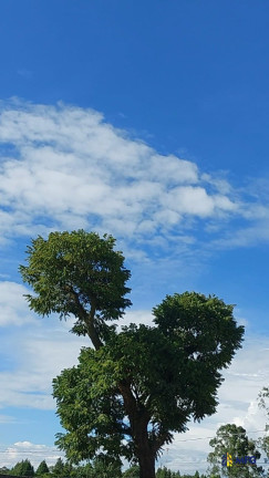 Imagem Chácara à Venda, 1.000 m² em Campininha - Sorocaba Imagem Chácara à Venda, 1.000 m² em Campininha - Sorocaba