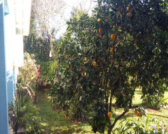 Imagem Imóvel com 3 Quartos à Venda,  em Vale Verde - Nova Petrópolis