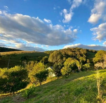 Imagem Fazenda à Venda, 240 m² em Zona Rural - Quitandinha Imagem Fazenda à Venda, 240 m² em Zona Rural - Quitandinha