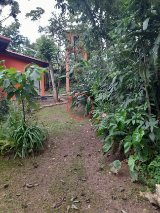 Imagem Casa com 5 Quartos à Venda, 241 m² em Boiçucanga - São Sebastião