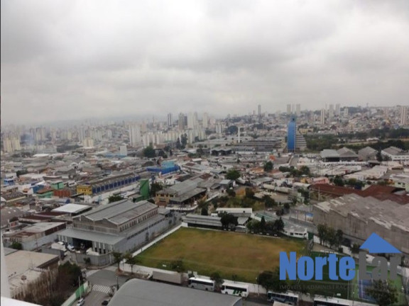 Imagem Apartamento com 3 Quartos à Venda, 64 m² em Vila Guilherme - São Paulo