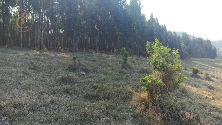 Imagem Chácara com 1 Quarto à Venda, 180 m² em Porto - Paraibuna Imagem Chácara com 1 Quarto à Venda, 180 m² em Porto - Paraibuna