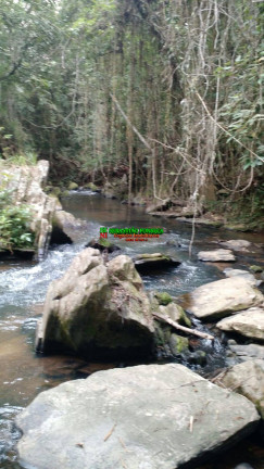 Fazenda à Venda, 46 m² em Zona Rural De Paraibuna - Paraibuna
