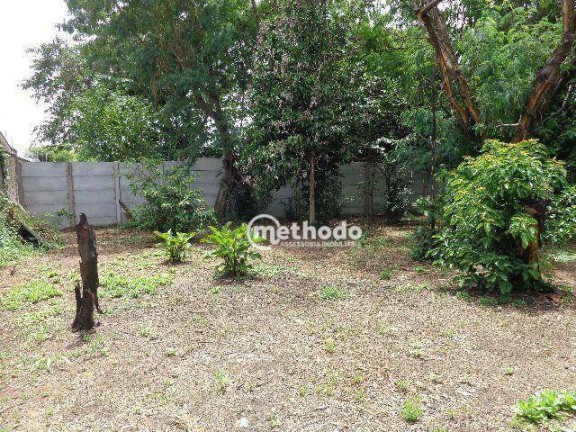 Imagem Terreno à Venda, 1.000 m² em Centro - Campinas Imagem Terreno à Venda, 1.000 m² em Centro - Campinas