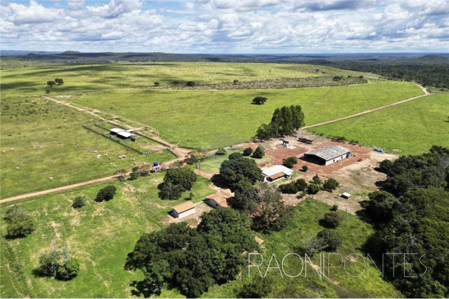 Imagem Fazenda à Venda, 18.420.000 m² em Zona Rural - Darcinópolis Imagem Fazenda à Venda, 18.420.000 m² em Zona Rural - Darcinópolis