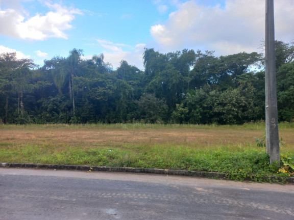 Imagem Terreno à Venda, 350 m² em Vila Nova - Joinville Imagem Terreno à Venda, 350 m² em Vila Nova - Joinville