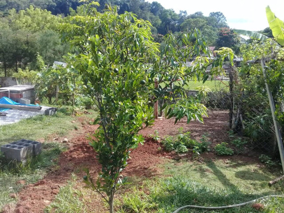 Imagem Chácara com 2 Quartos à Venda, 1.100 m² em Cuiabá - Nazaré Paulista