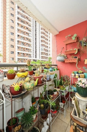 Imagem Apartamento com 2 Quartos à Venda, 54 m² em Chácara Santo Antônio (zona Sul) - São Paulo Imagem Apartamento com 2 Quartos à Venda, 54 m² em Chácara Santo Antônio (zona Sul) - São Paulo