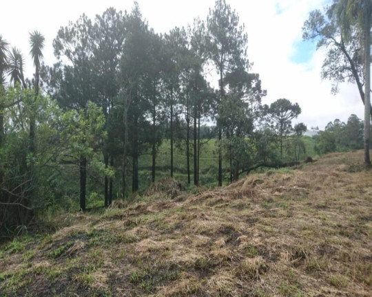 Imagem Terreno à Venda, 12.750 m² em Potuverá - Itapecerica Da Serra Imagem Terreno à Venda, 12.750 m² em Potuverá - Itapecerica Da Serra