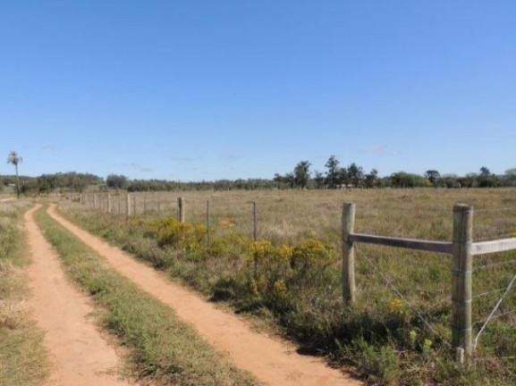 Imagem Terreno à Venda, 1.000 m² em Morro Grande - Viamão